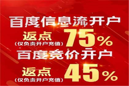 百度竞价广告投放全解析：成功案例揭秘